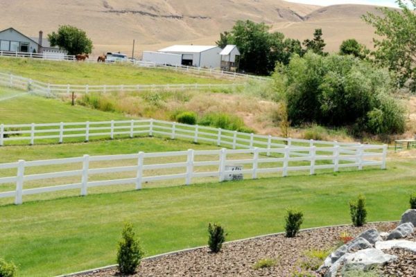 Image for 5 Common Pasture Fencing Mistakes