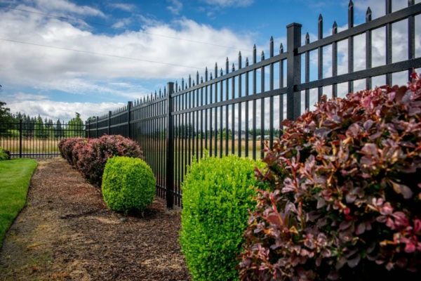 Specrail Fencing: What Are My Options?