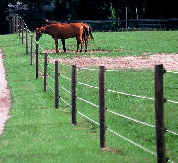 Electrobraid Horse Fencing Rick