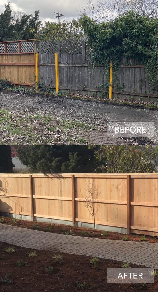Before and After-Ricks