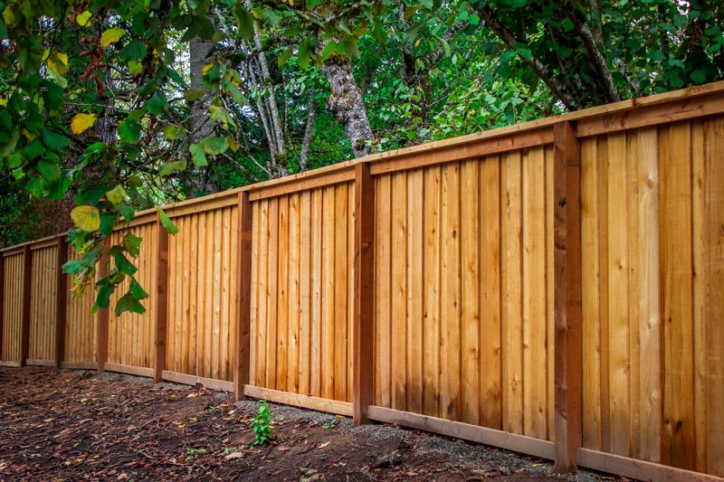 CedarFencePicture Frame