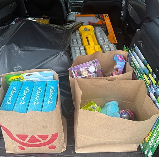 Rick's Custom Fencing & Decking Toy Drive Haul for 2026 Rick's Custom Fencing & Decking Toy Drive Haul for 2026