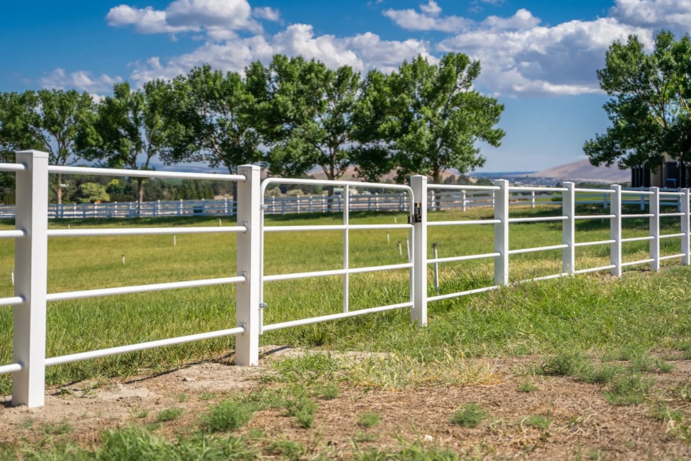 Pipe Rail Fencing White Pipe Rail Fencing White