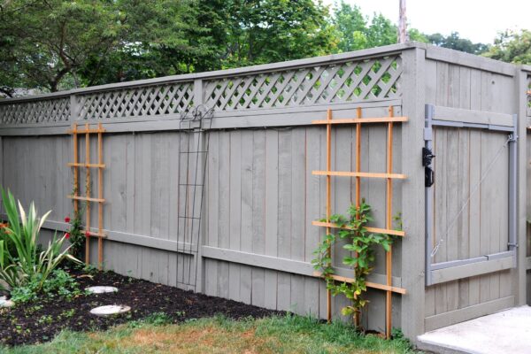Privacy Fence Ideas for Pacific Northwest Homes