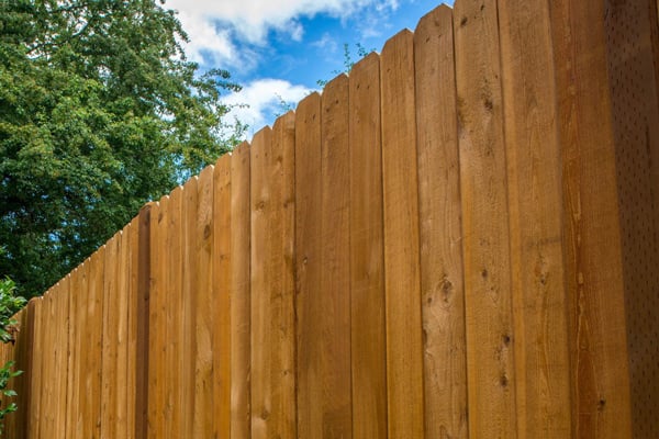 Cedar Fence Dog Eared Cedar Fence Dog Eared