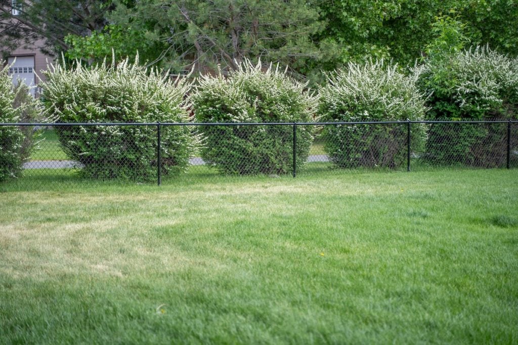 1056 Chain Link Fencing 1056 Chain Link Fencing