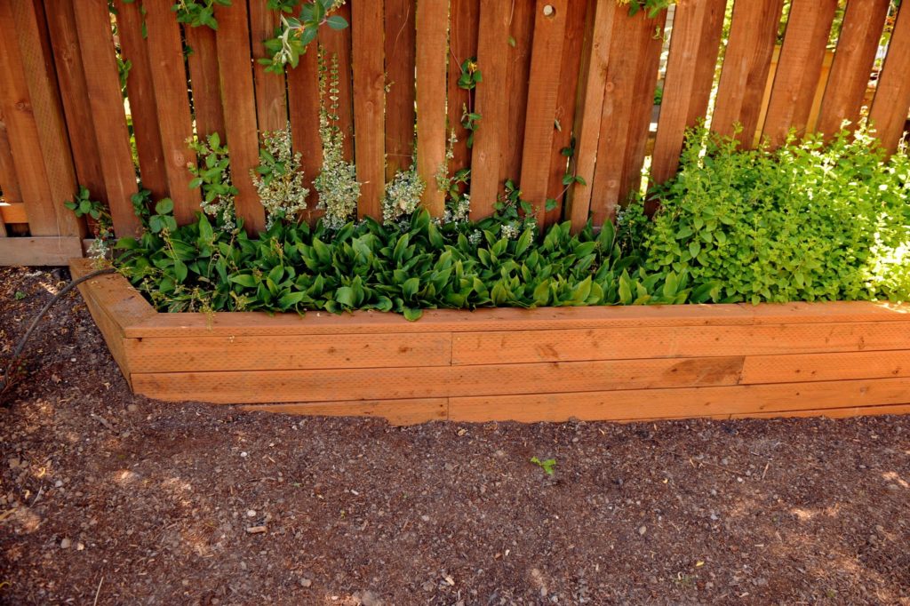 1007 Retaining Walls Growing plants with retaining wall