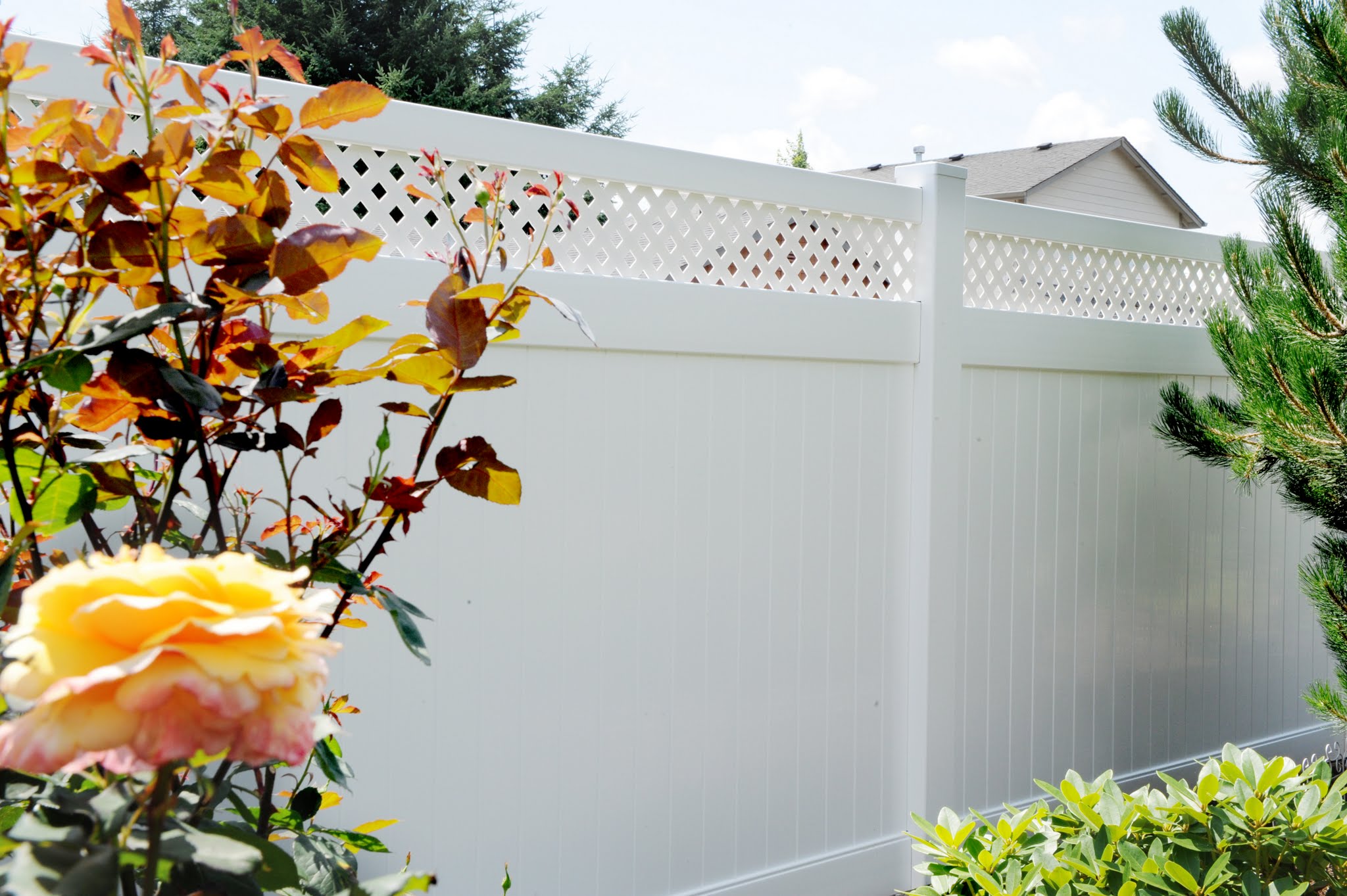 White Vinyl lattice top fencing