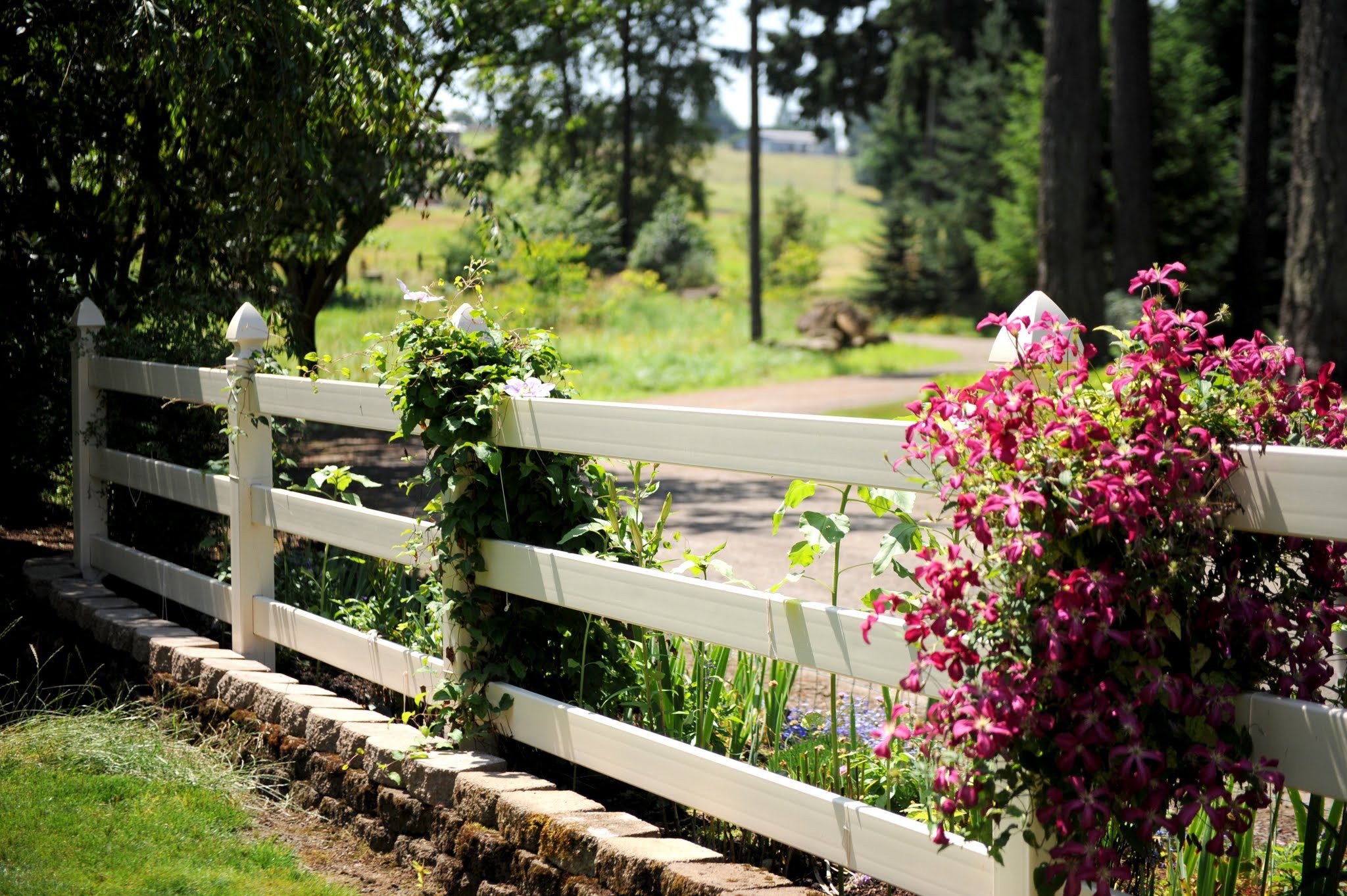 Tan Pasture Rail fence with gothic caps