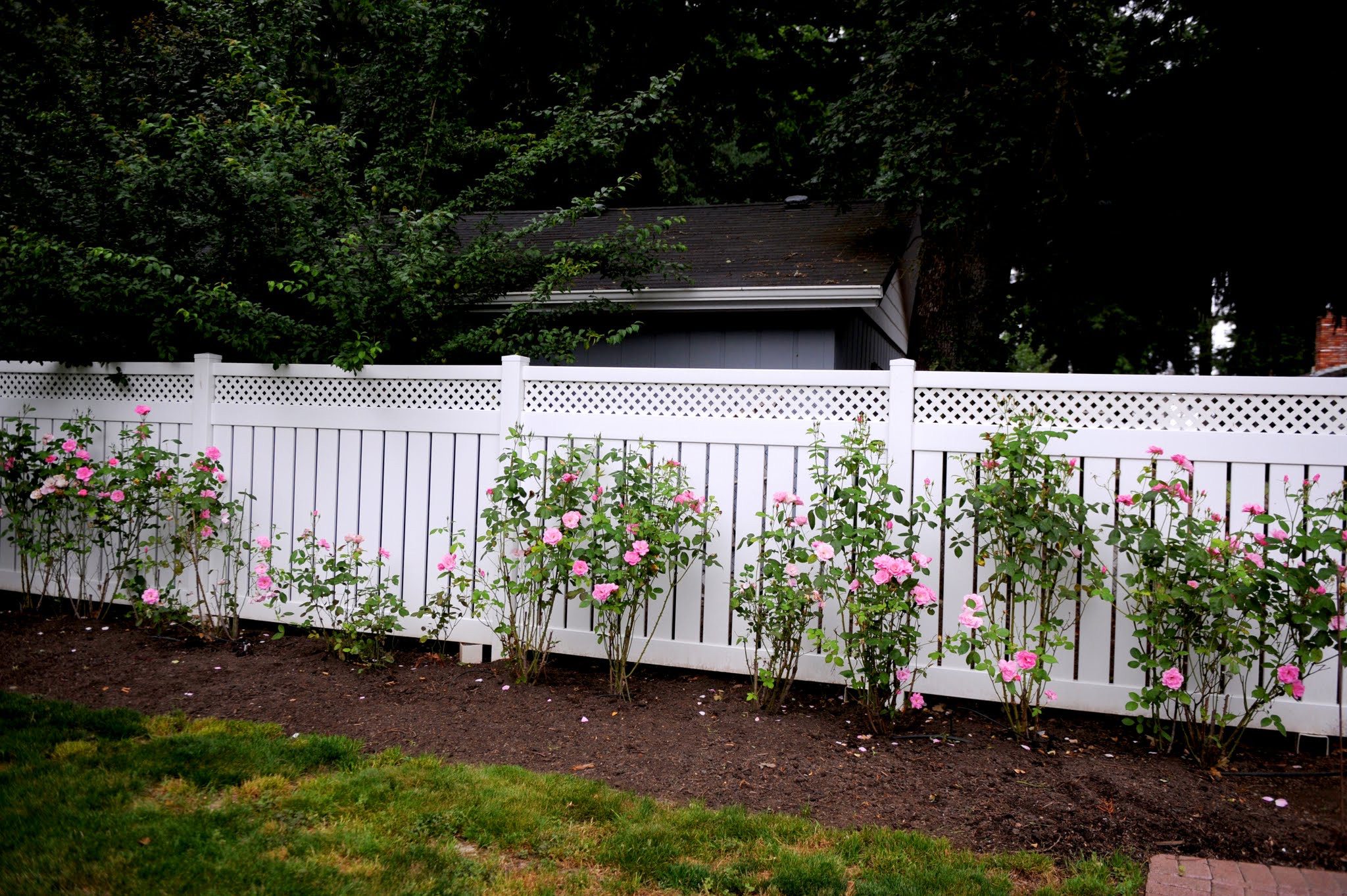 vinyl lattice top semi privacy fence