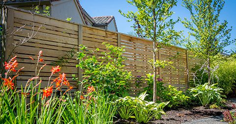 Cedar Horizontal Fencing