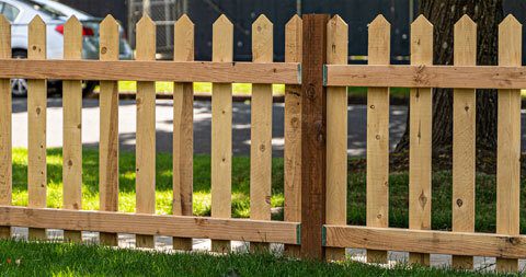 Picket Fencing