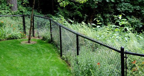 Residential Chain Link Fencing