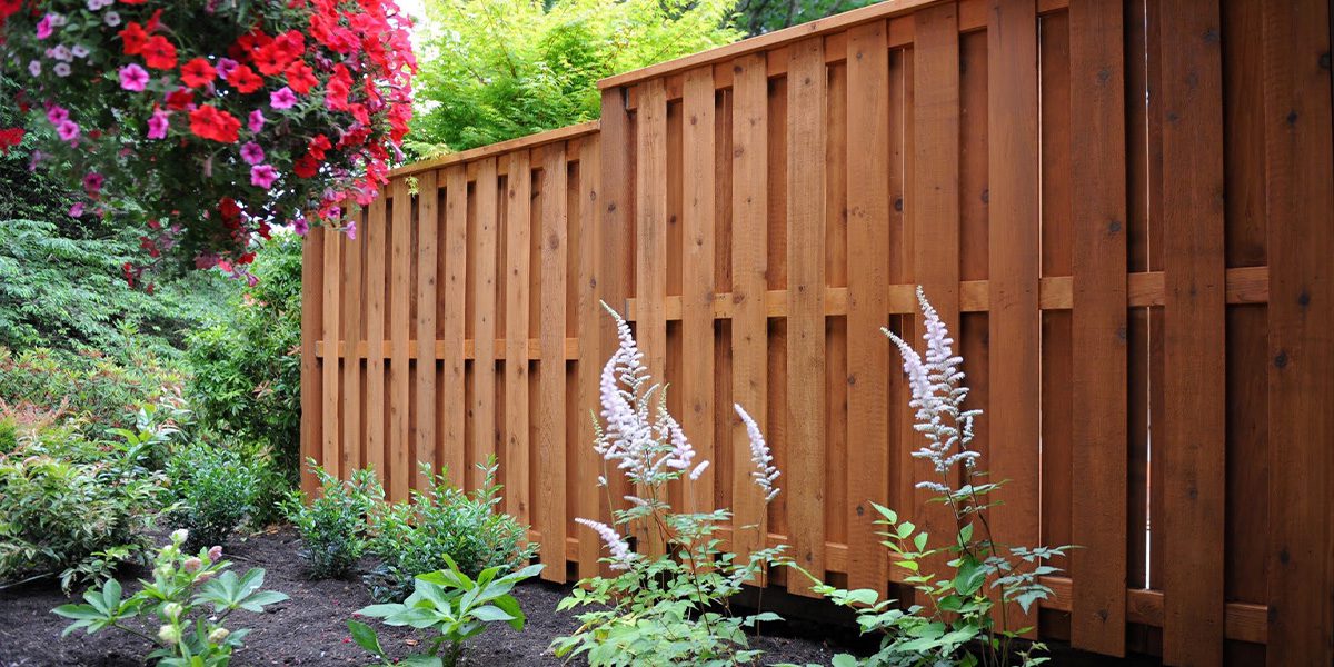 Cedar Fence installed by Rick's Custom Fencing and Decking in Portland Oregon Cedar Fence installed by Rick's Custom Fencing and Decking in Portland Oregon