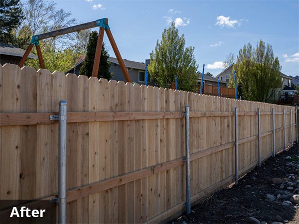 Ugly Fence 2021 600pxW After Ugly Fence 2021 600pxW After