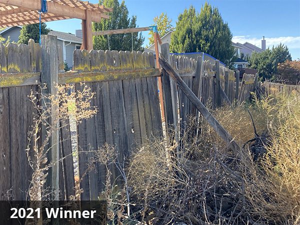 Ugly Fence 2021 600pxW Before Ugly Fence 2021 600pxW Before