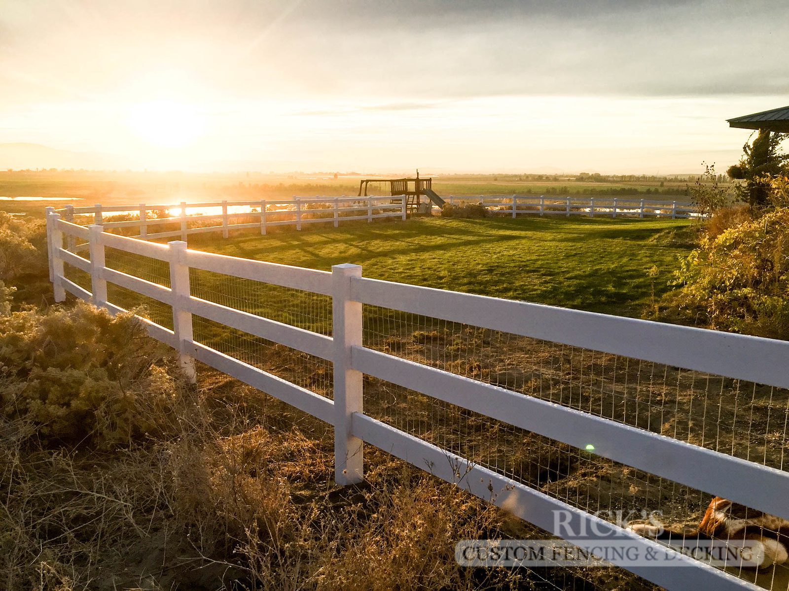 Pasture Fence Image