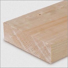 cedar
