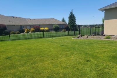 1072 Regis Aluminum Fencing Flat top aluminum fencing with gate