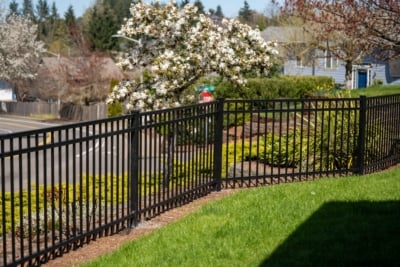 1085 Regis Aluminum Fencing Aluminum Fencing in Salem, OR