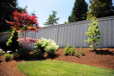 1016 Custom Cedar Fencing Overlap board fence