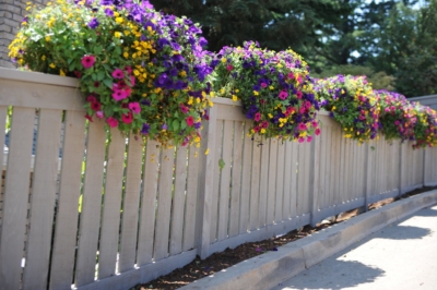 1021 Custom Cedar Fencing Short custom semi-privacy fence