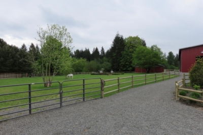 1026 Custom Cedar Fencing Round pressure treated pasture rail fencing