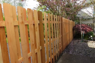 1022 Fencing Cedar Good Neighbor Good Neighbor fence with dog ear boards