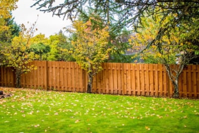 1029 Fencing Cedar Good Neighbor Contoured Good Neighbor fence