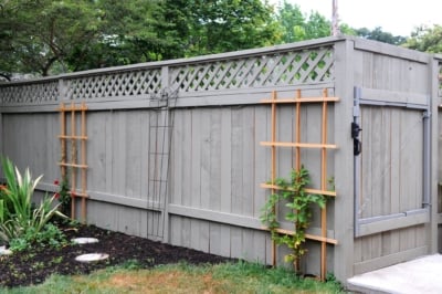 A grey lattice top fence with plant trellises installed by Rick's Custom Fencing and Decking in Portland Oregon A grey lattice top fence with plant trellises installed by Rick's Custom Fencing and Decking in Portland Oregon