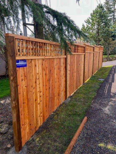 1025 Fencing Cedar Lattice Top A cedar lattice top fence under a tree.