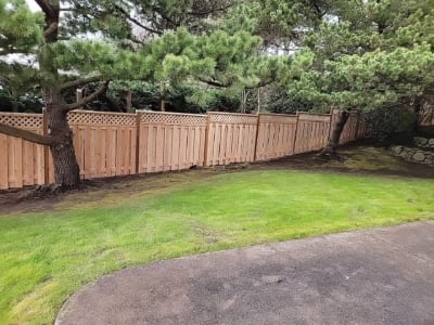 1027 Fencing Cedar Lattice Top A long diagonal lattice top cedar fence with two tree in front of it.