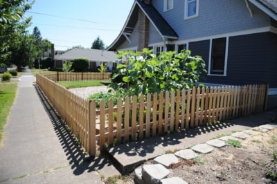 1011 Fencing Cedar Picket The corner of a cedar picket fence with a large bush.