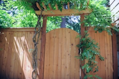 1019 Cedar Picture Frame Fencing Picture frame fence featuring gate and trellis