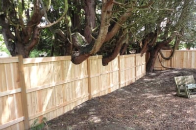 1035 Cedar Solid Style Fencing solid style fence built around tree branches