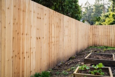 1040 Cedar Solid Style Fencing solid style fence with no top cap