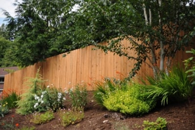 1049 Cedar Solid Style Fencing finished side of a solid style fence