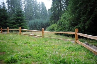 1003 Cedar Split Rail Fencing Cedar Split Rail Fence designating yard from forest.