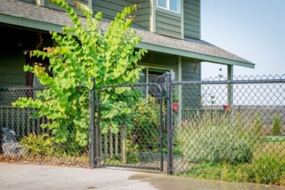 1042 Chain Link Fencing 4 foot tall chain link fencing with a gate.
