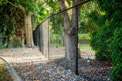 1043 Chain Link Fencing 6 foot tall black chain link fence.