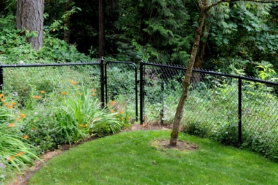 1015 Chain Link Fencing black chain link walk gate
