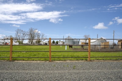 1021 Pipe Rail Fencing Pipe Rail fencing in Pendleton, OR