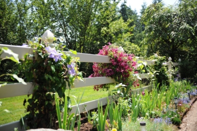 1044 Vinyl Pasture Rail Fencing Vinyl Pasture Rail Fencing with plants growing on it