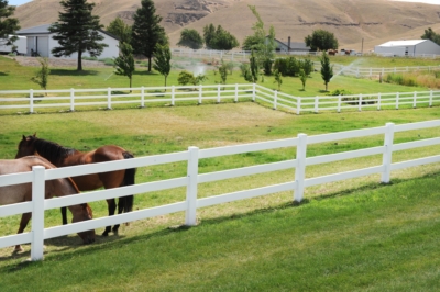 1045 Vinyl Pasture Rail Fencing Vinyl pasture rail fence in white