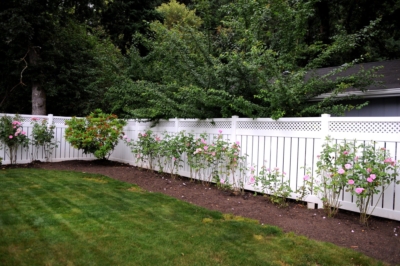 1006 Vinyl Semi Privacy Fencing white vinyl lattice top semi privacy fencing